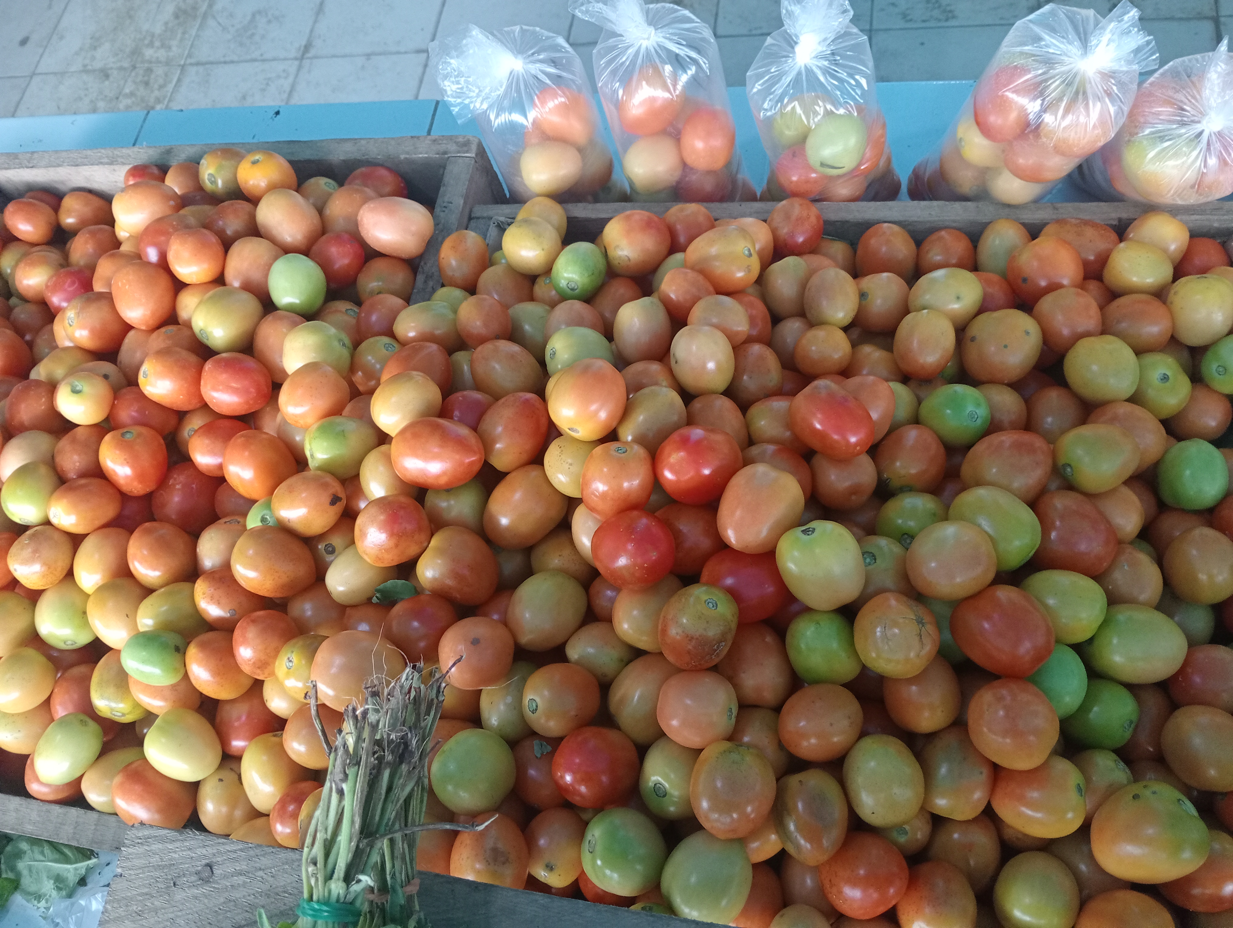 Penjual sayuran dan buah-buahan 