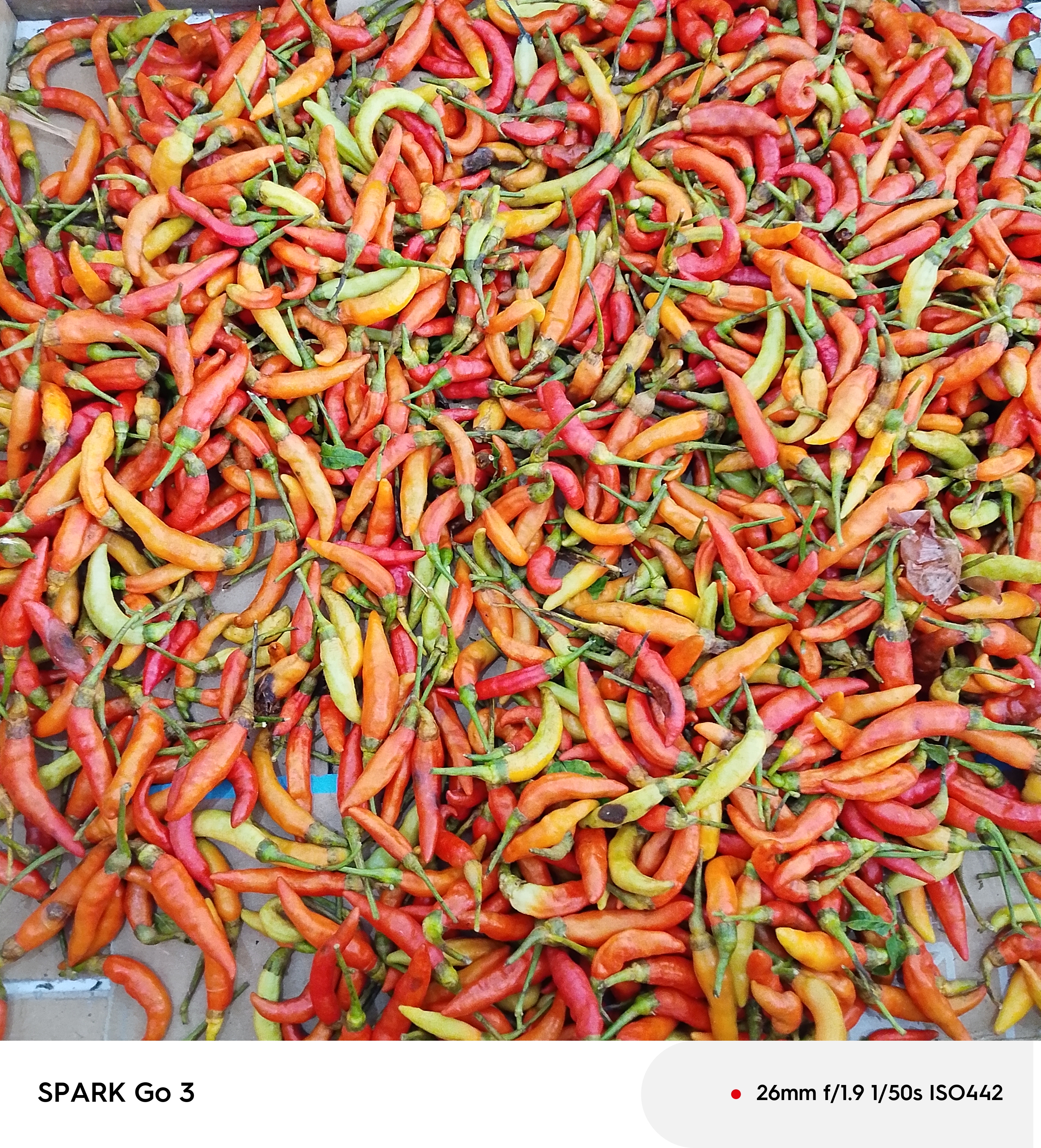 Kios sayur