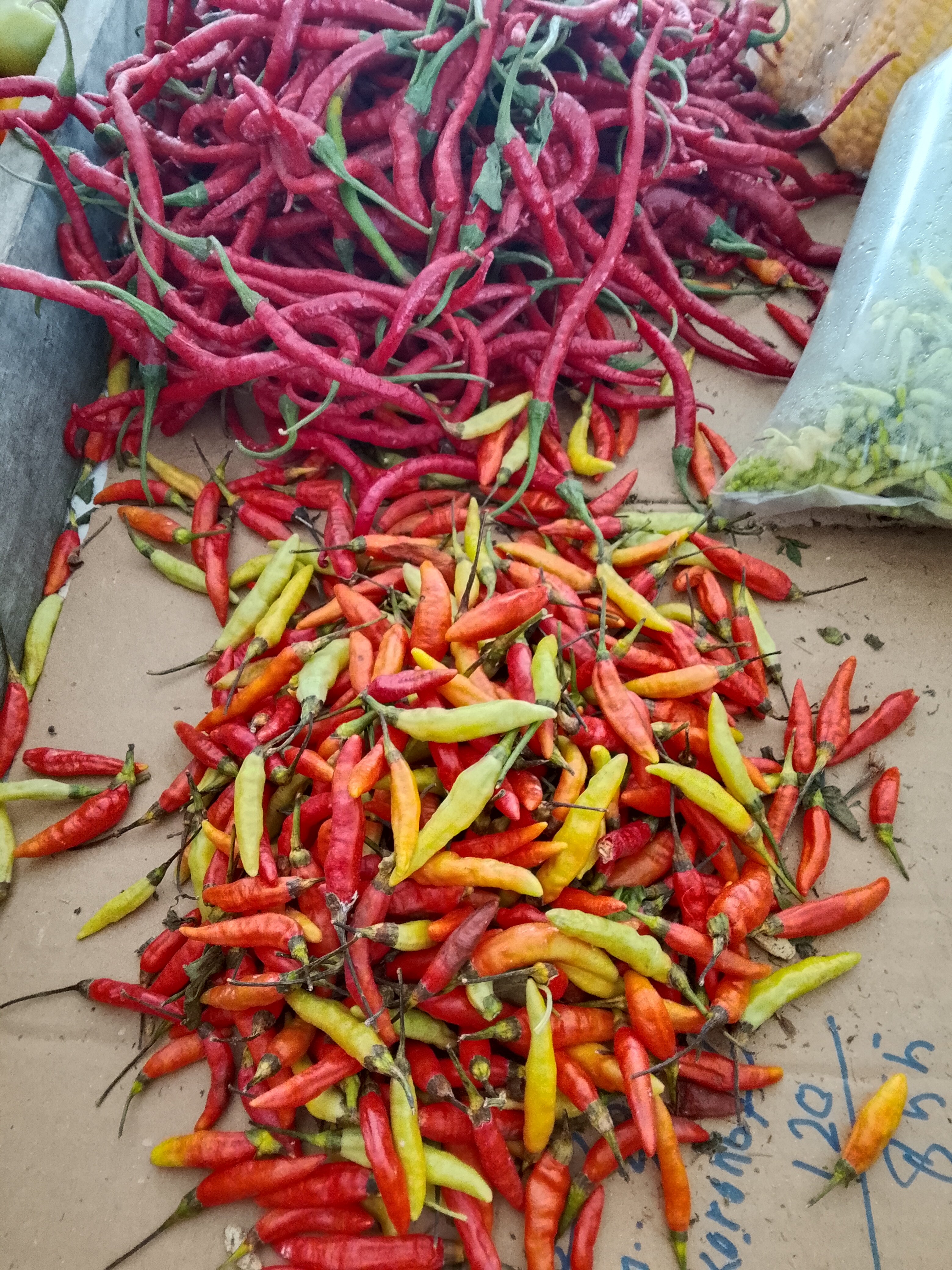 Toko sayur ibu lince