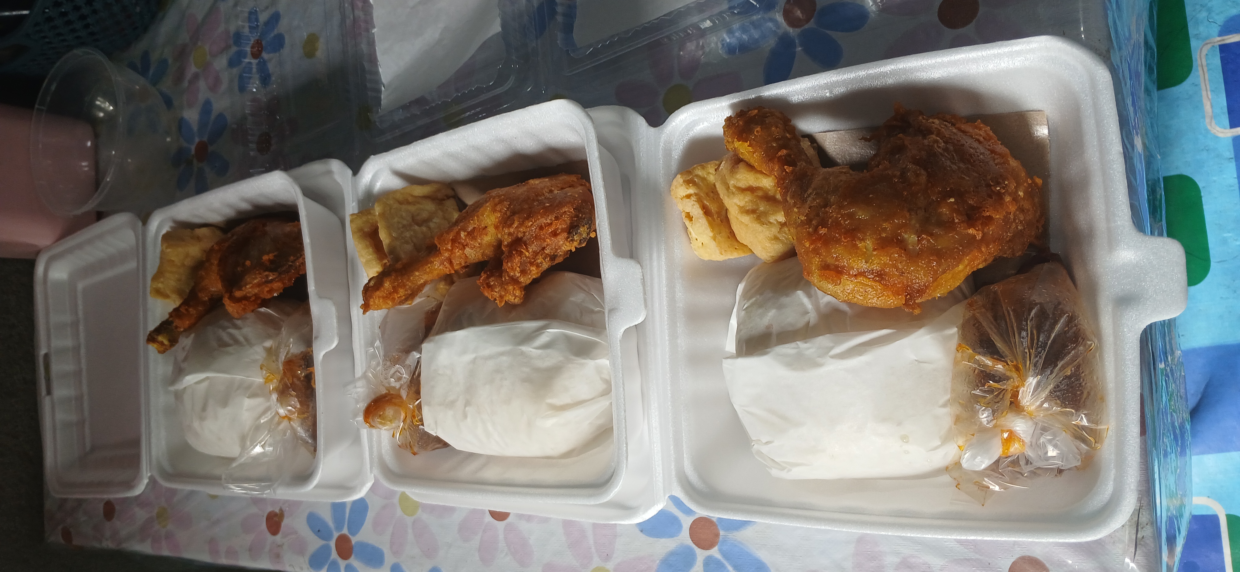 Ricebox kakakadek