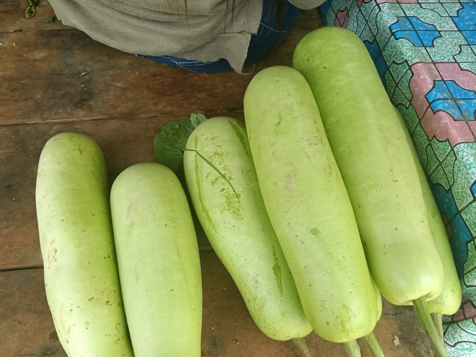 LABU PUTIH