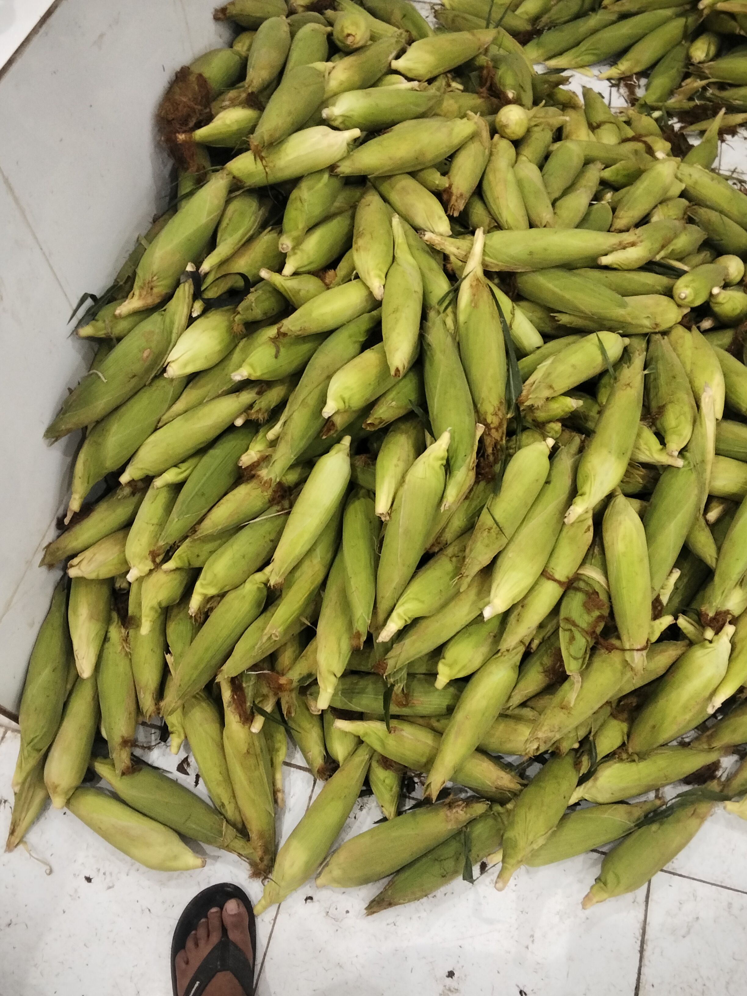 Penjual jagung