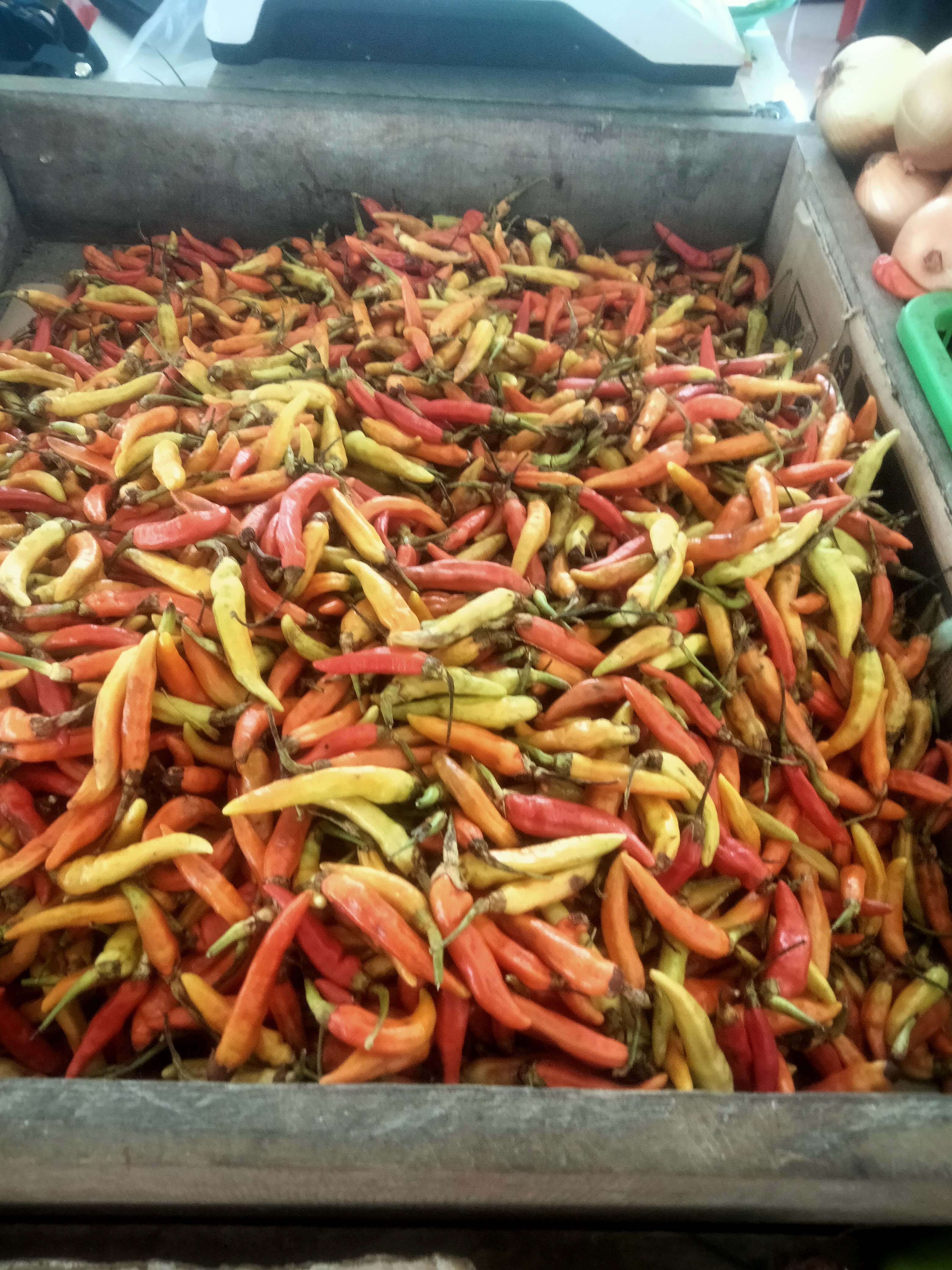 Penjual sayur