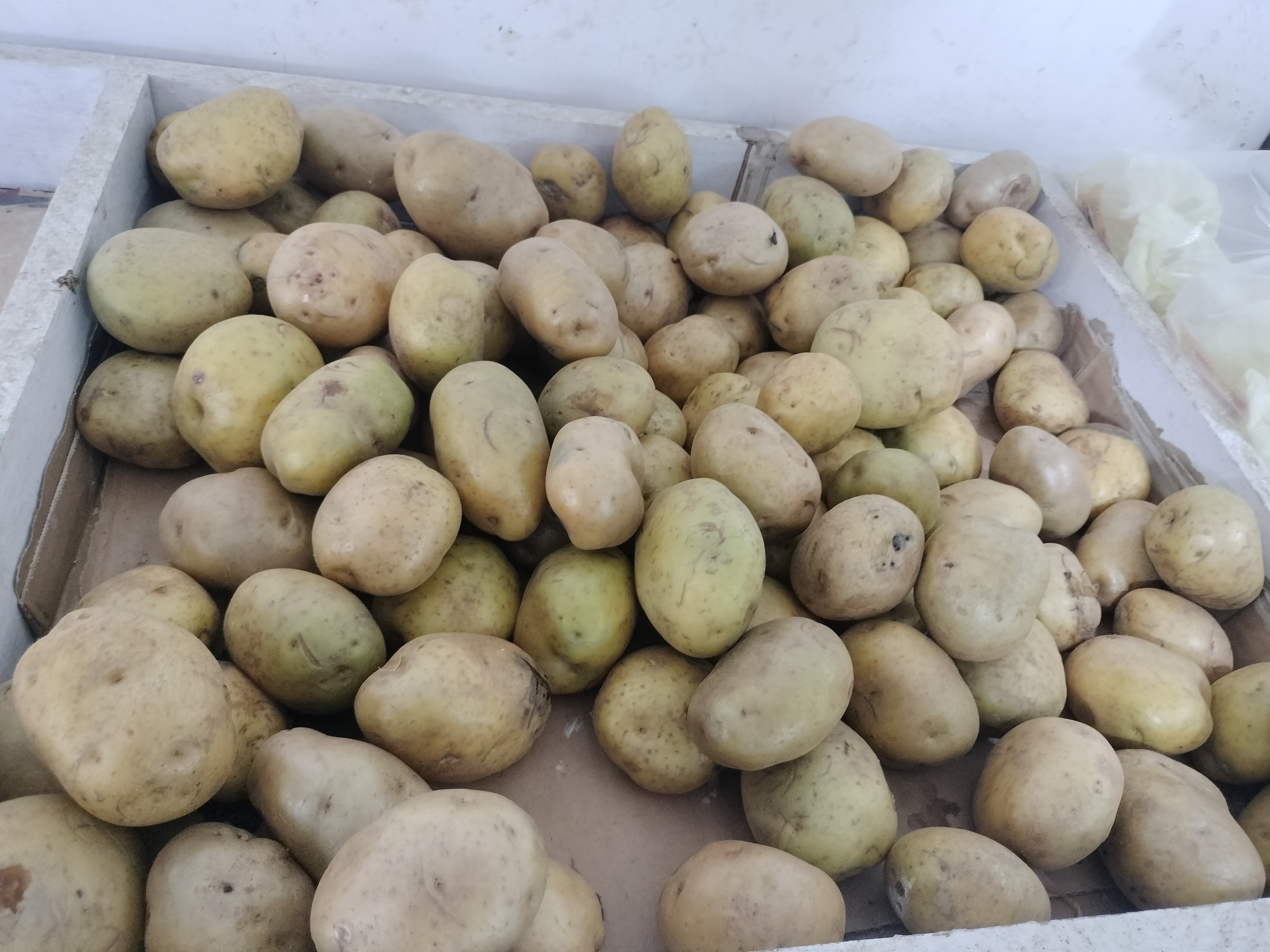 Kentang