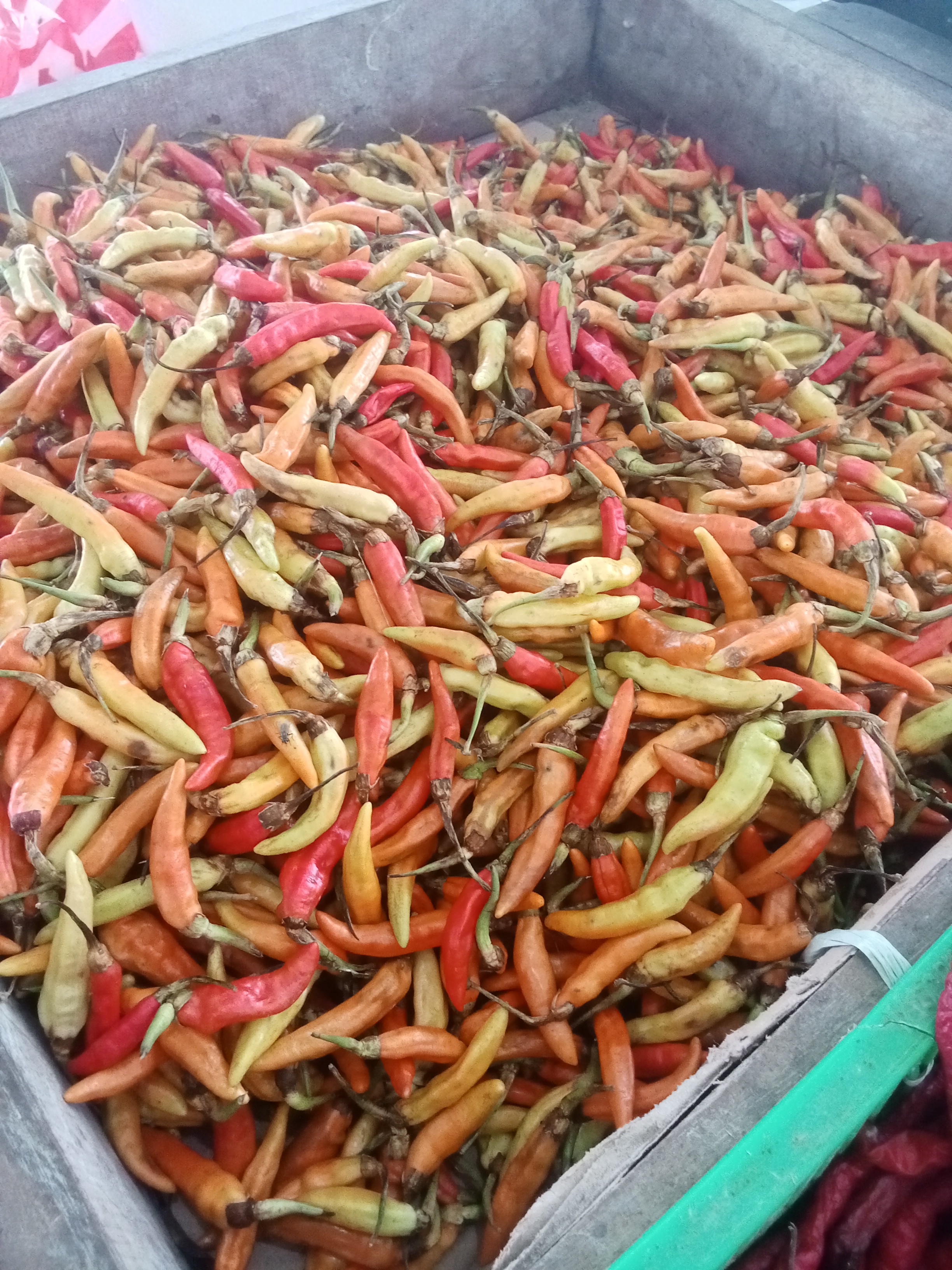 Pedagang