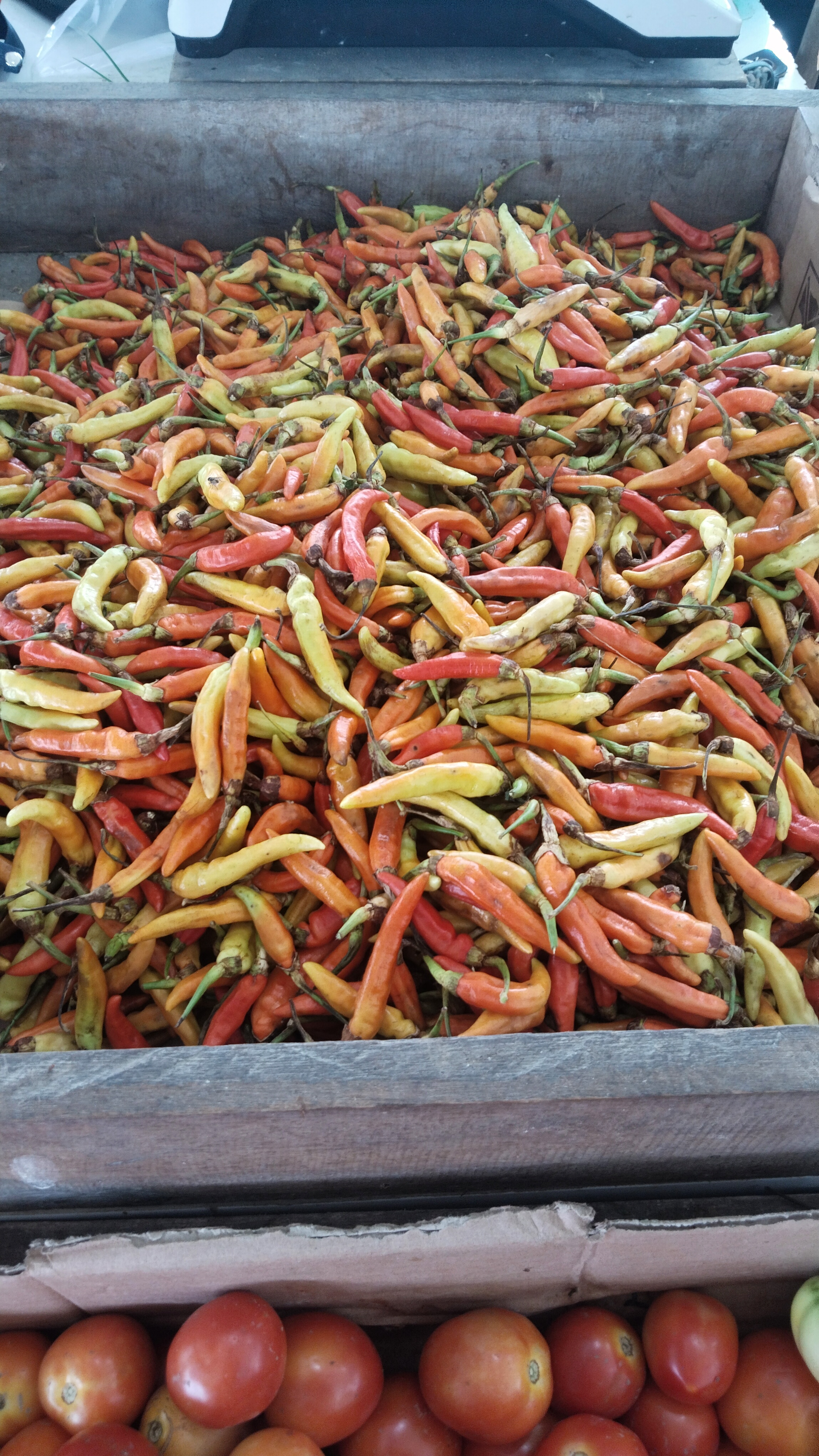 Lombok