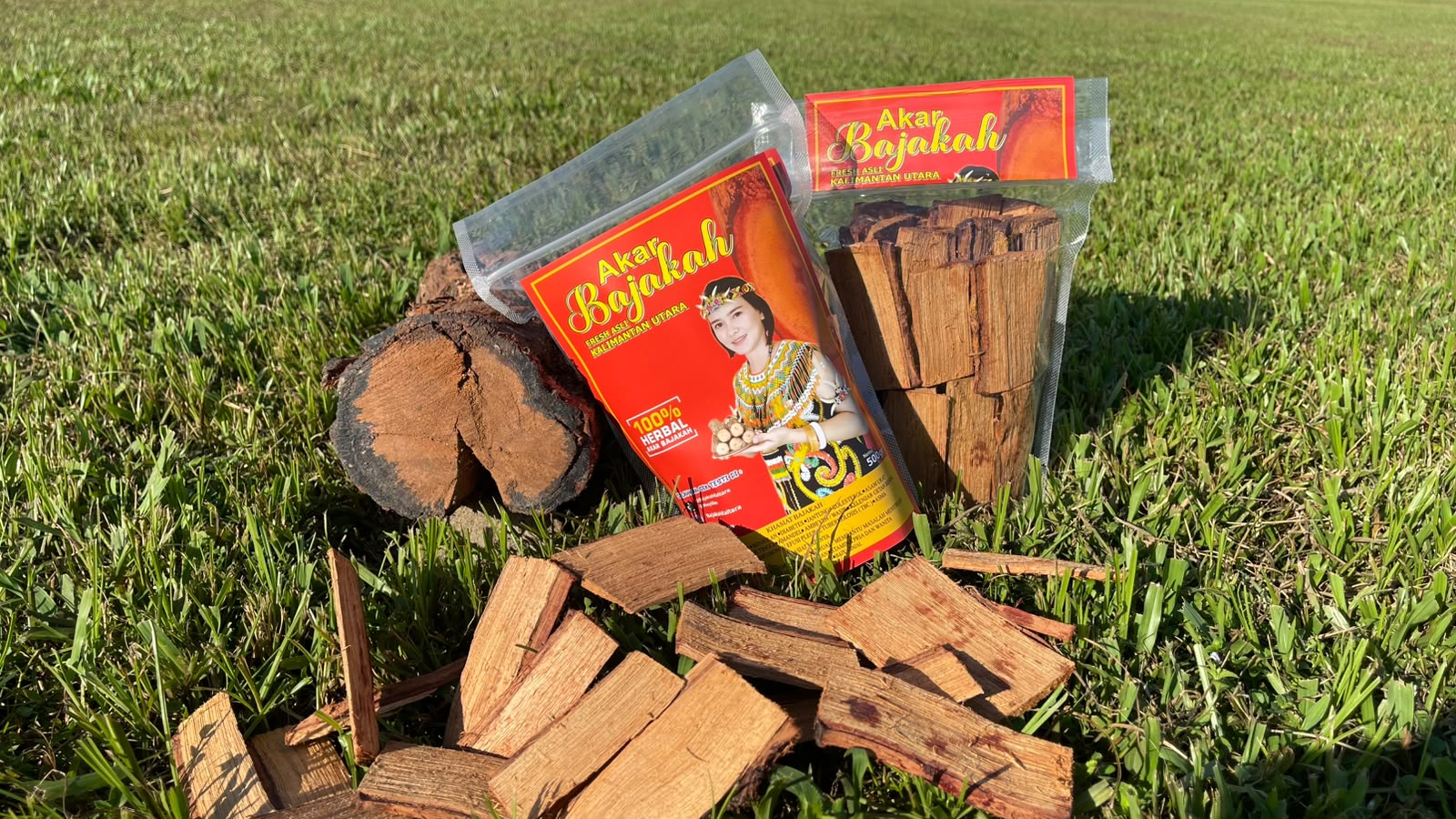 meylilim bajakah kaltara