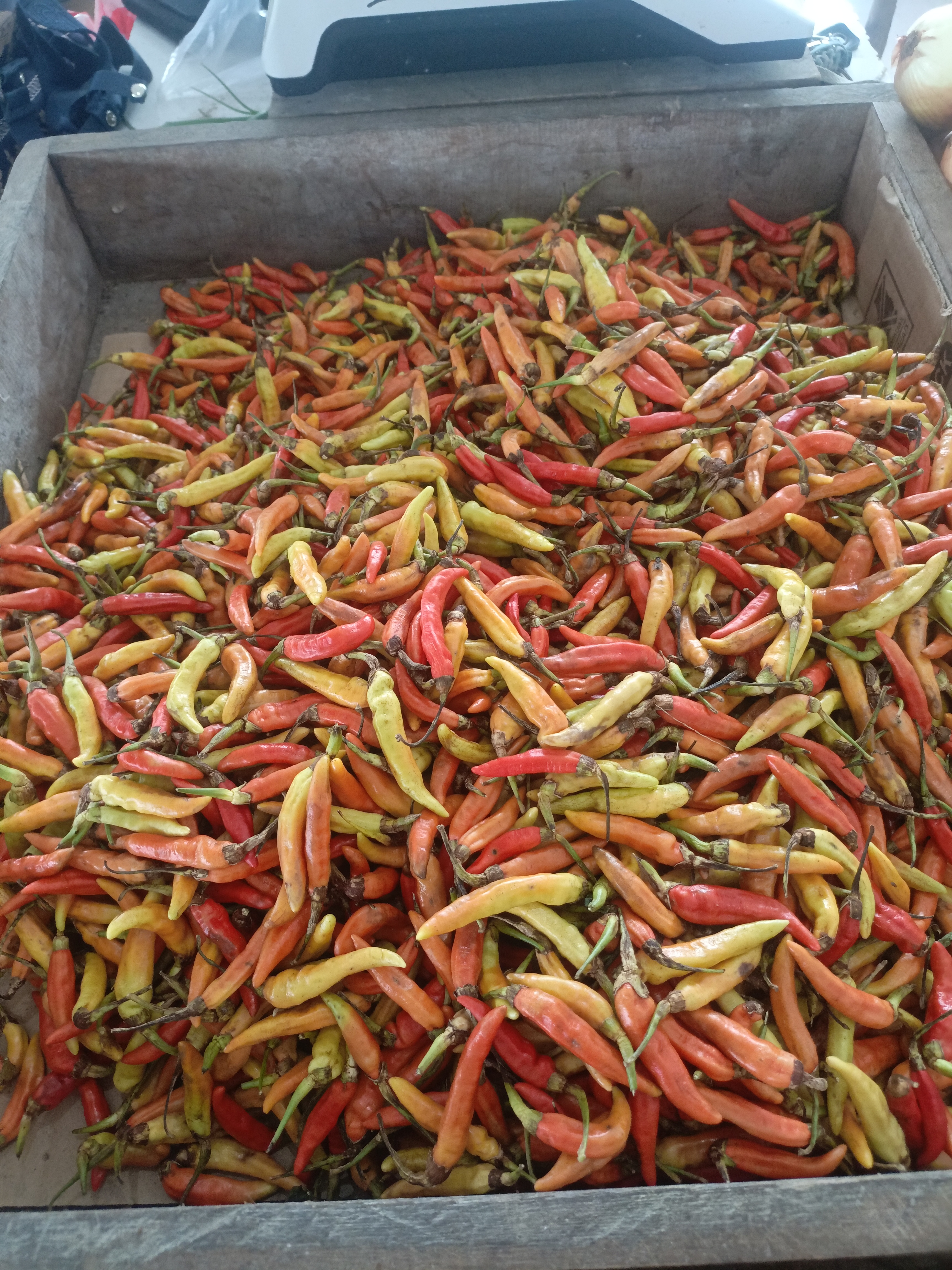 Pedagang sayur pasar induk