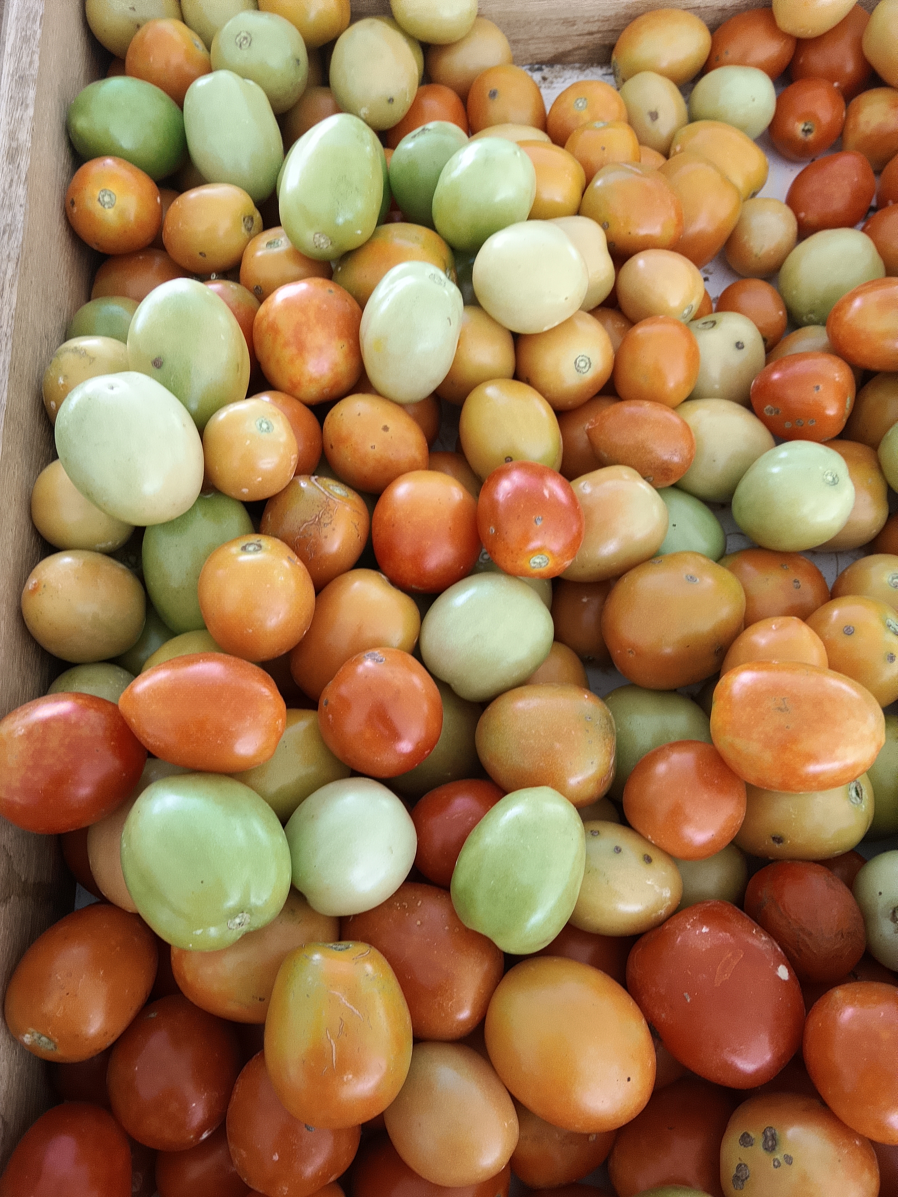 Toko sayur Juan solata