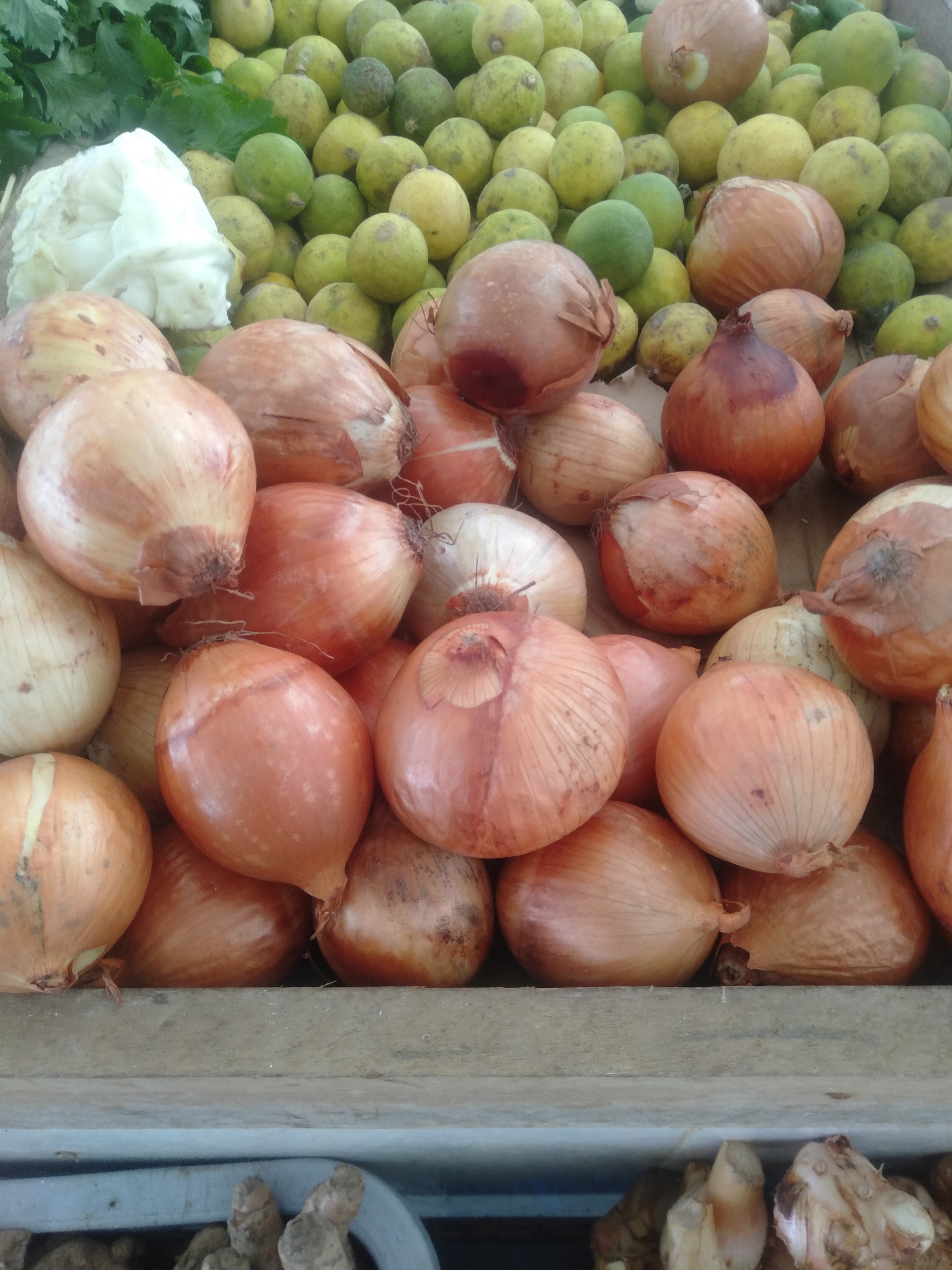Bawang bombay