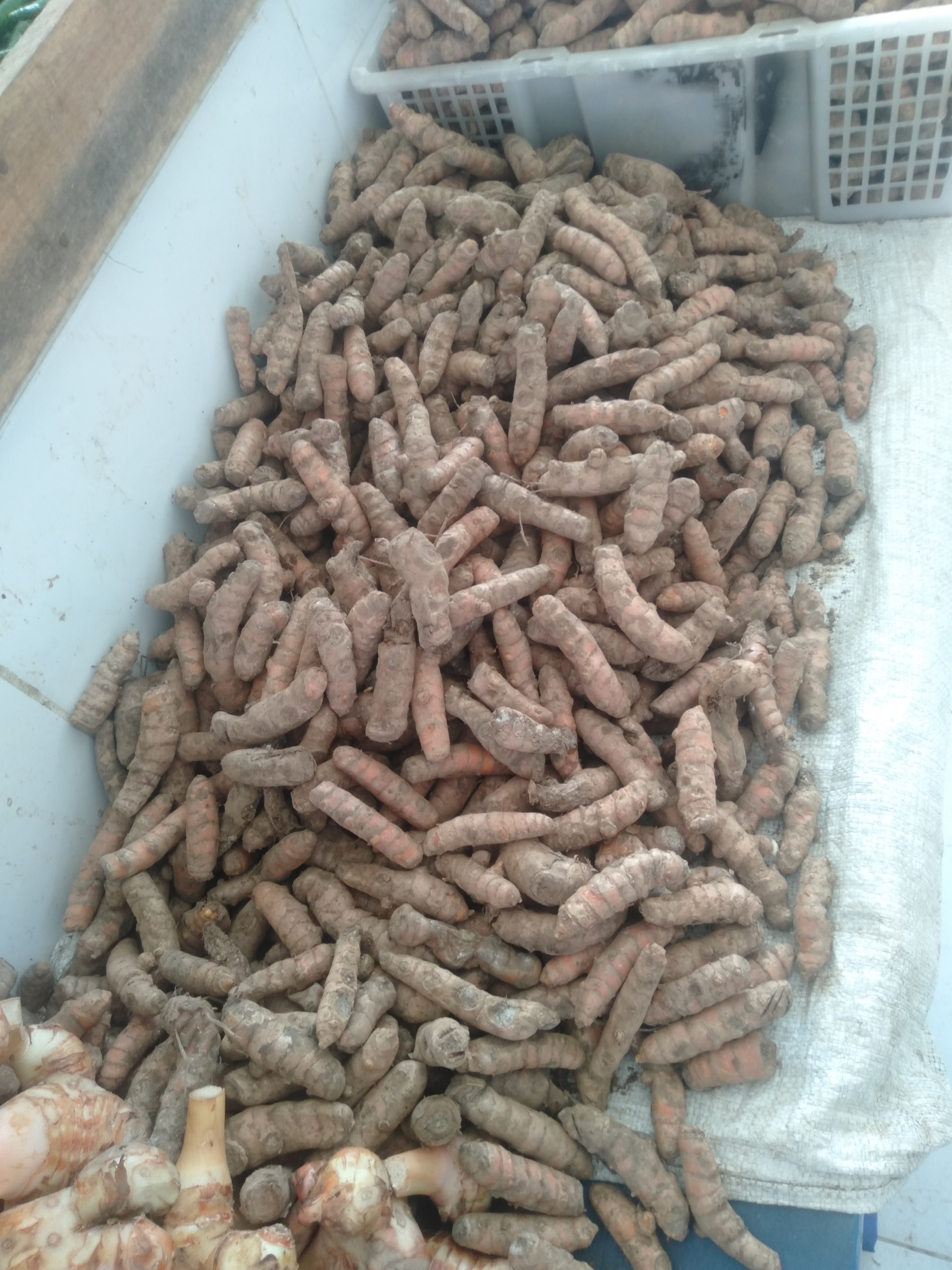 Penjual sayur