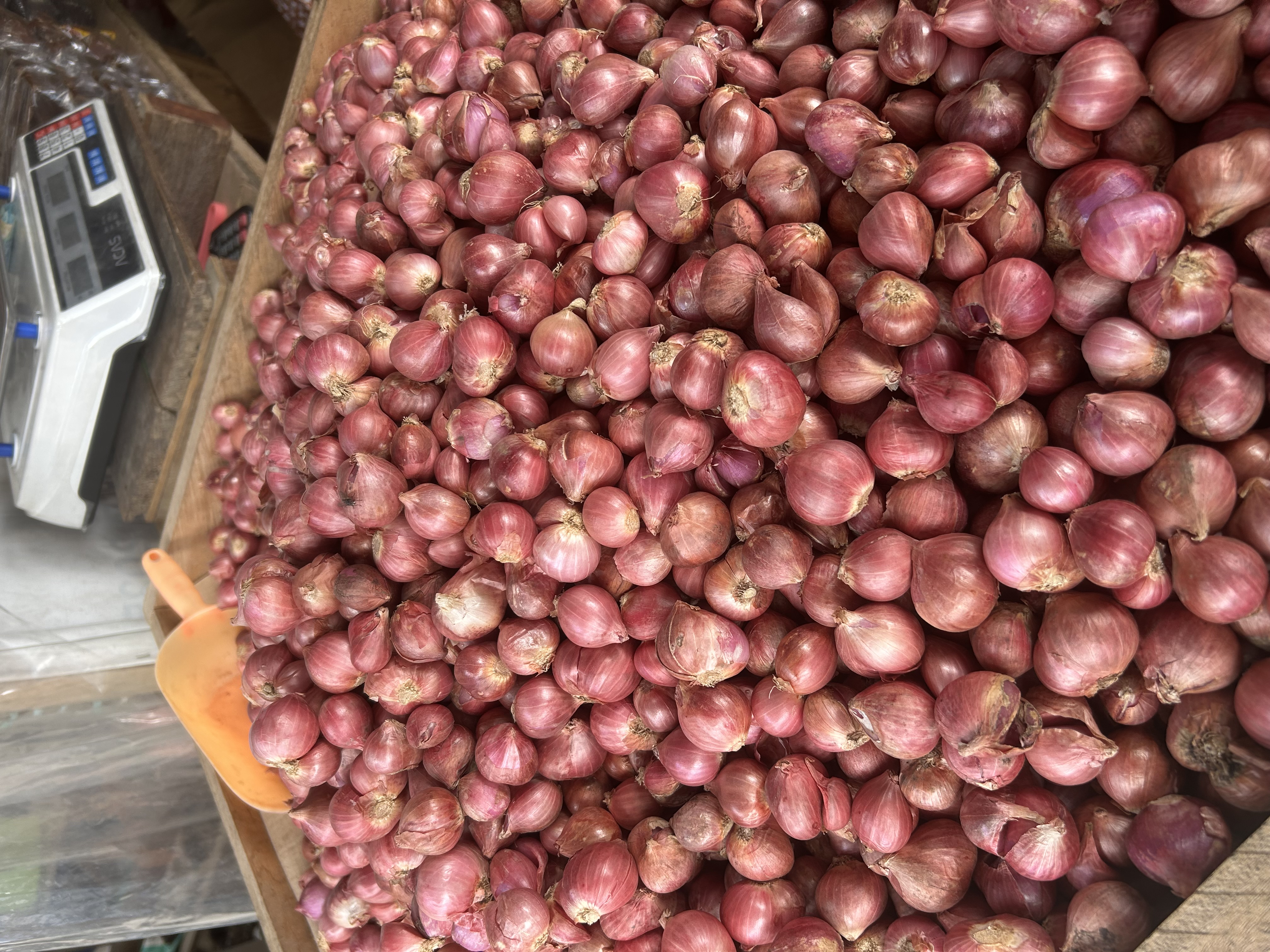 Bawang
