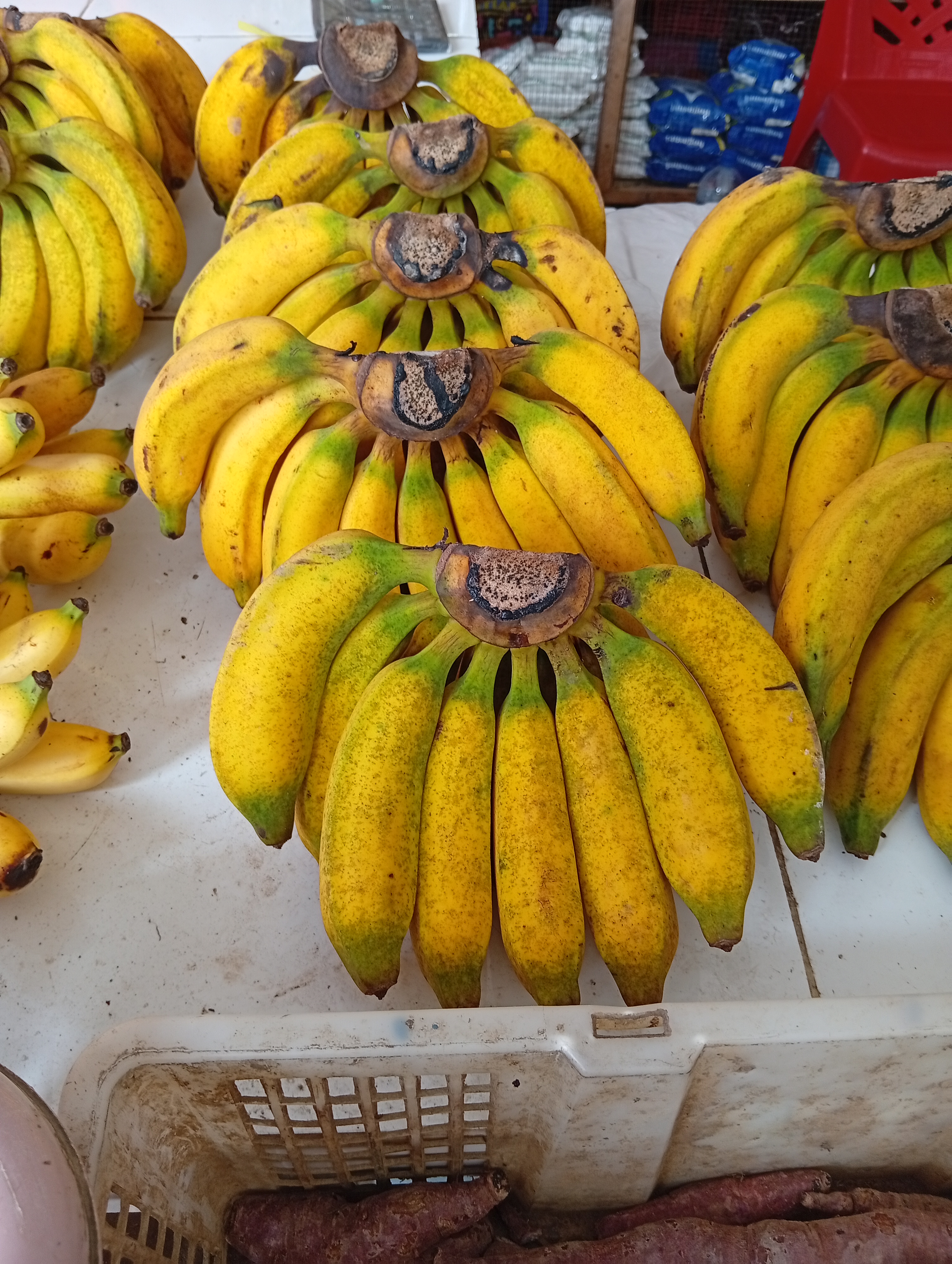 Buah pisang