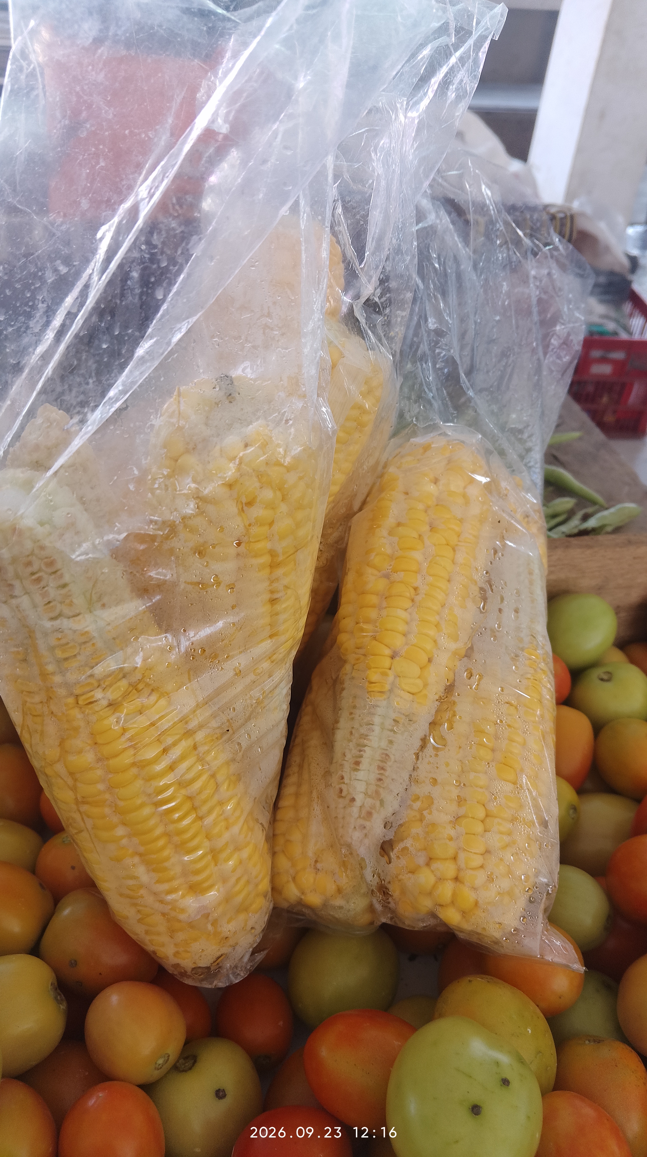 jagung