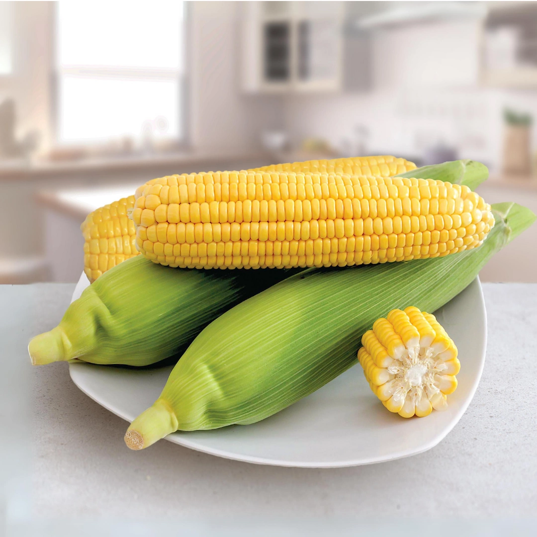 Jagung